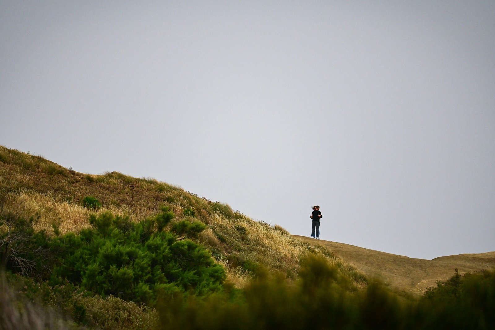 a person standing on top of a grass covered hill